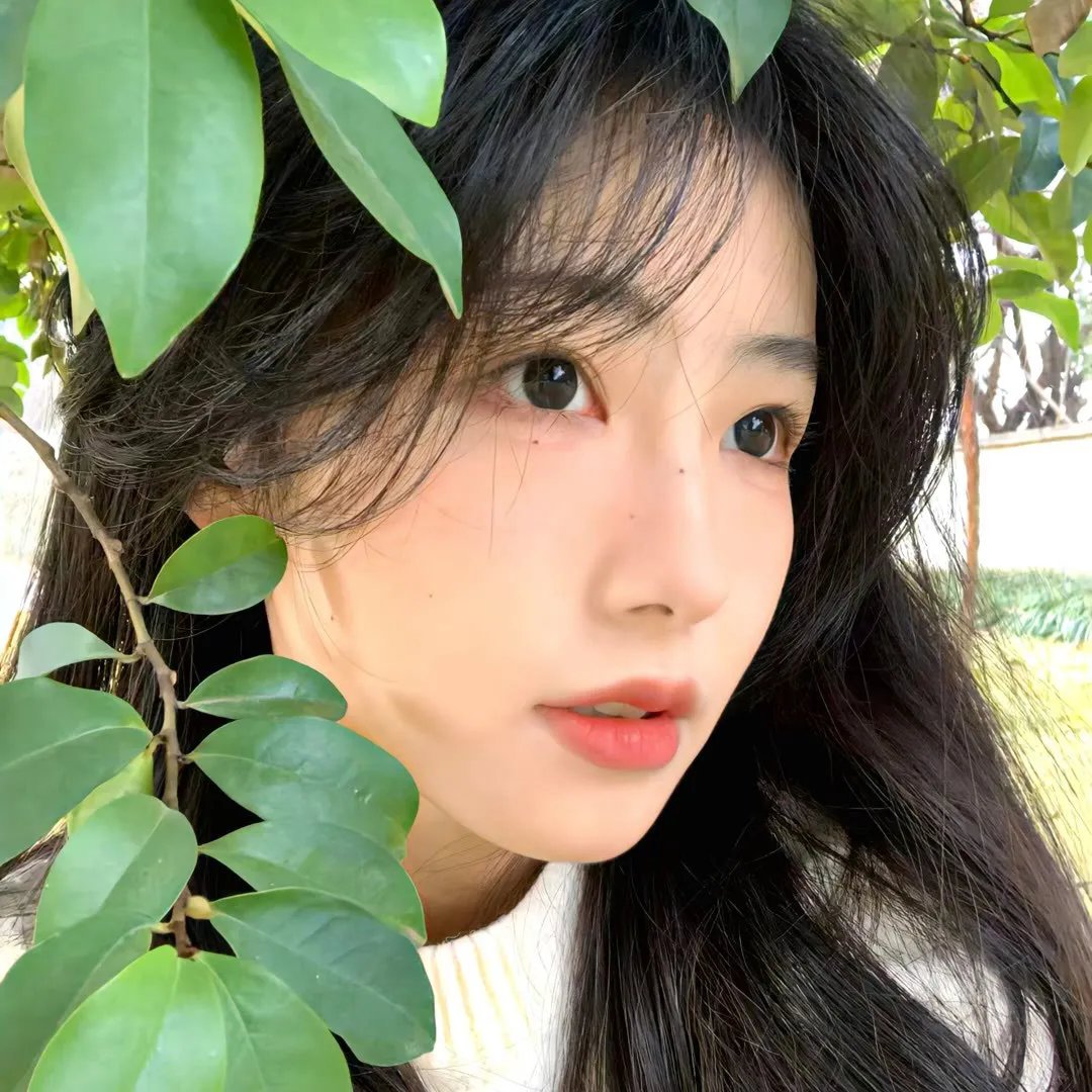 推特共和国
